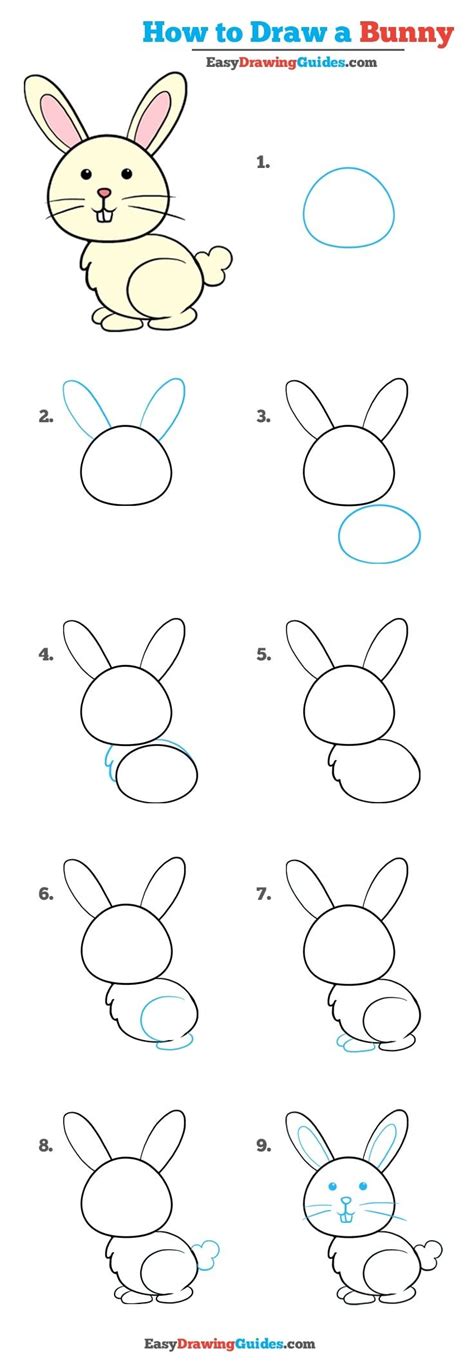 If you want to learn how to draw a bunny easy, your first step is a horizontal oval. Ensure that there is space all around the oval for the additional construction shapes …